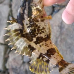 評判の釣り場見学