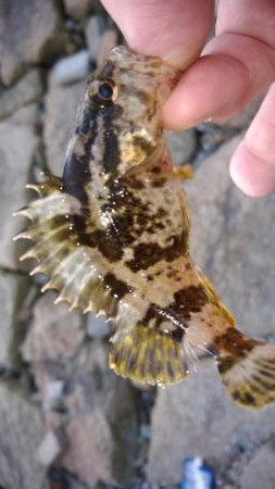 評判の釣り場見学