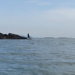日生町頭島のカフェrebornの南でコブダイ