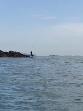 日生町頭島のカフェrebornの南でコブダイ