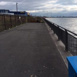 鶴浜 時合は裏切らない