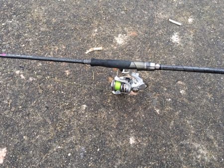 そこそこあたりあり