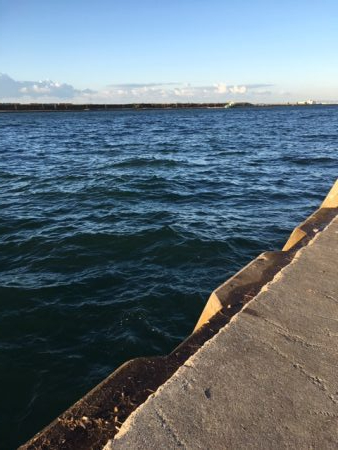 渋いが、5時代は釣れる