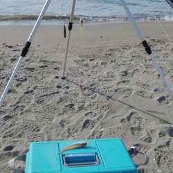 最後の落ちギス釣り