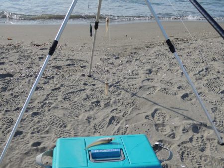 最後の落ちギス釣り