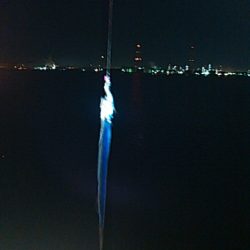 タチウオ、アジ