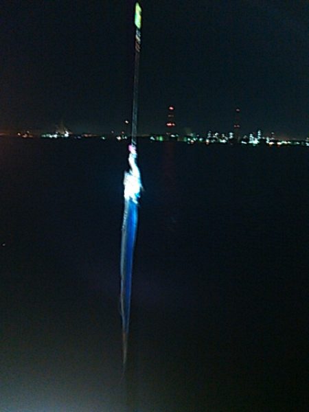 タチウオ、アジ