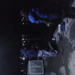 みんなでヒイカ！