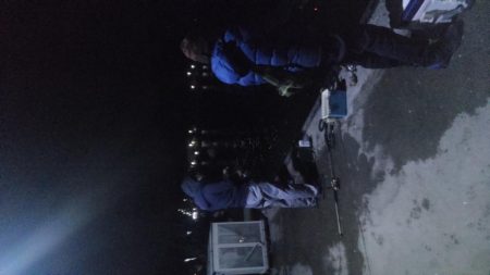 みんなでヒイカ！