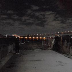 タチウオ細くない?