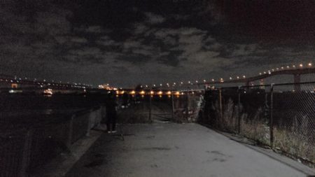 タチウオ細くない?