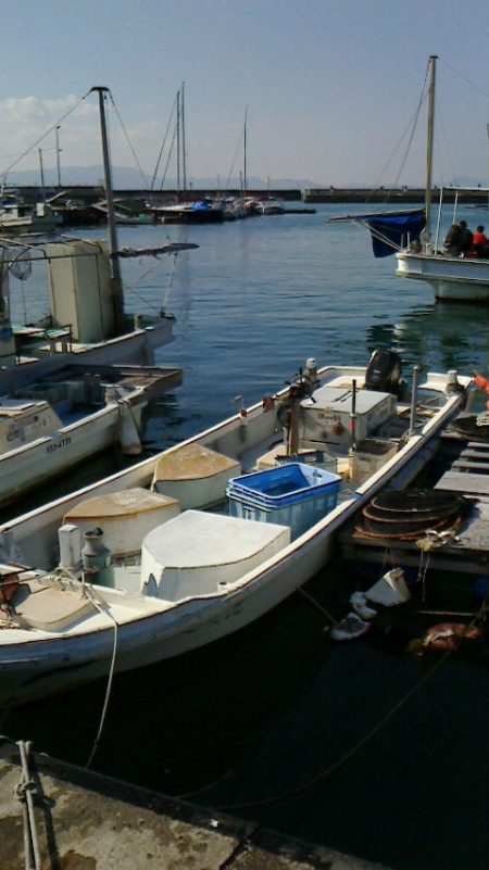 釣果はサビキのみ