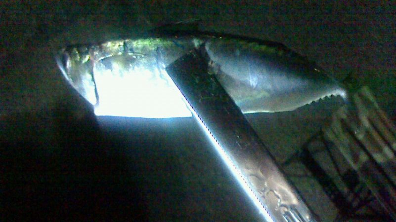 穴釣り・浮釣り