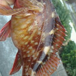 穴釣りにハマってる