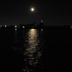 アジングのスキルアップ