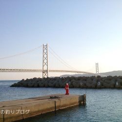 紀州釣り＆サビキ