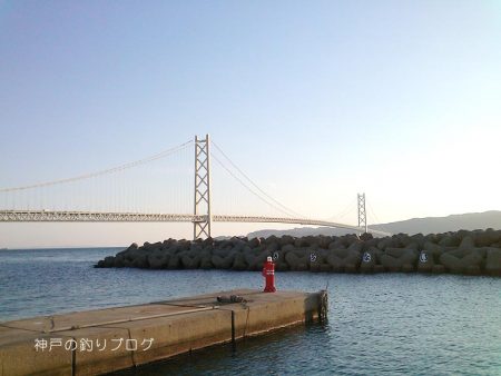 紀州釣り＆サビキ