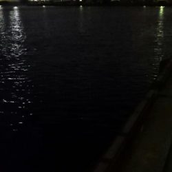 タチウオ最終エリア調査