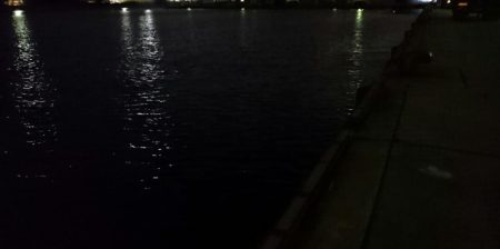 タチウオ最終エリア調査