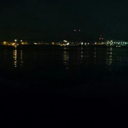 南港エリア タチウオ回復か！？