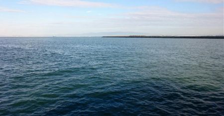 泉大津エリア タチウオ釣果