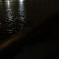 南港タチウオ釣行