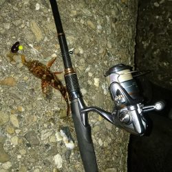 泉佐野コンビナート ガシリング