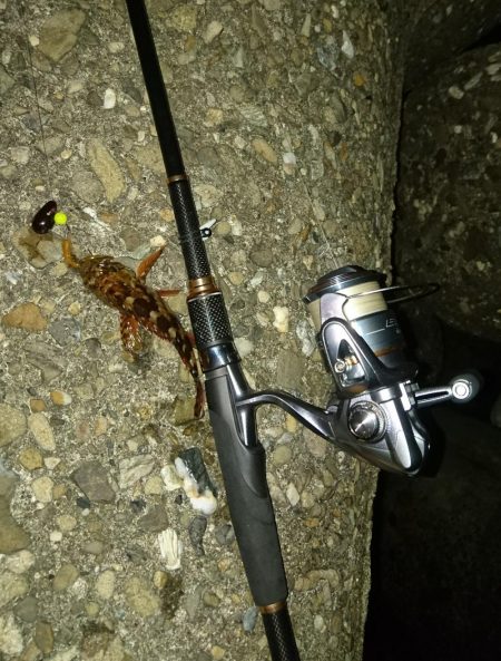 泉佐野コンビナート ガシリング