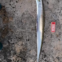 西表島でも太刀魚