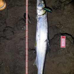 干潮潮止まりでカライワシヒット