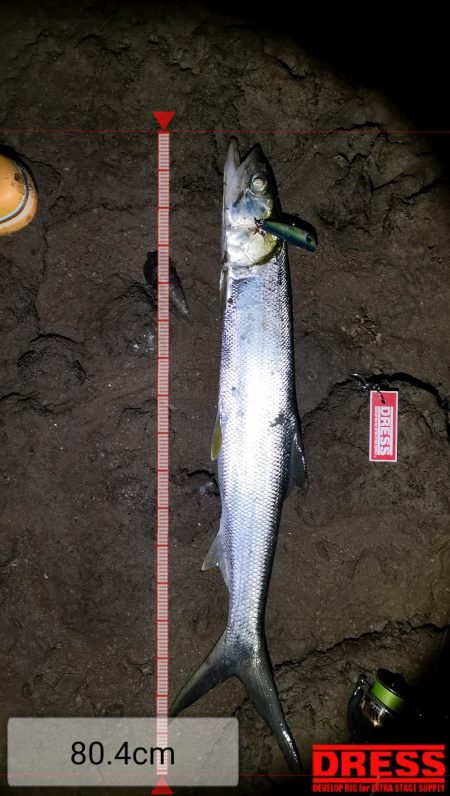 干潮潮止まりでカライワシヒット