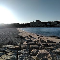 キビレ釣れました!!