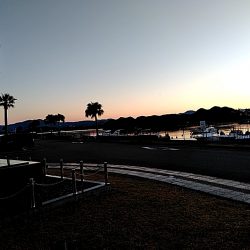 メッキが釣れましたね!!