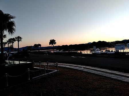 メッキが釣れましたね!!