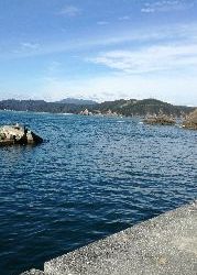 ショアジギングで大物掛かった