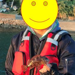 状況激シブの中エギングでアオリイカin北西風の中紀