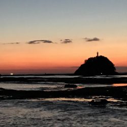 良型には逢えず