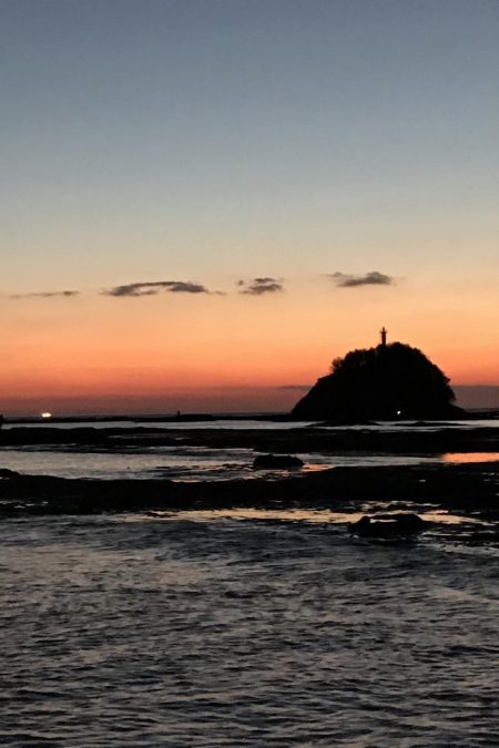 良型には逢えず