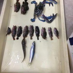 武豊緑地へいってみた。