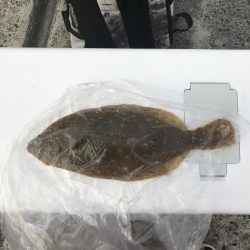 久々の釣ーリング!!