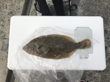 久々の釣ーリング!!