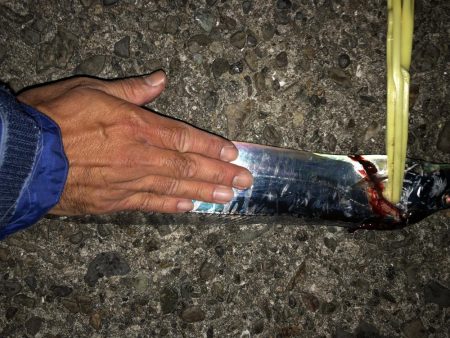 ノマセ不発、でもタチウオはいた！