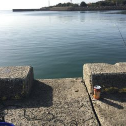 デイヒイカハマりまくりwww