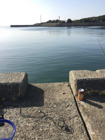 デイヒイカハマりまくりwww