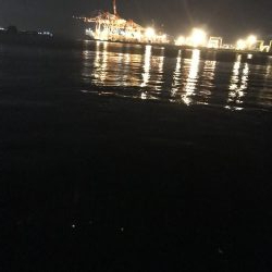 休日の激戦区へ