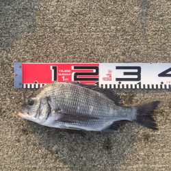 今週の釣果報告！11月10日（土）