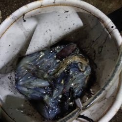 めっちゃ渋い(>_<)