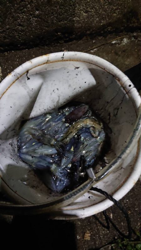 めっちゃ渋い(>_<)