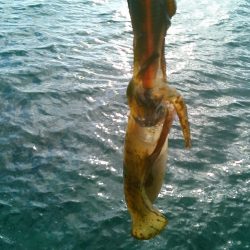 横風に悩まされ