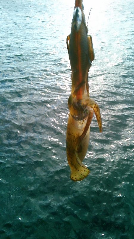 横風に悩まされ